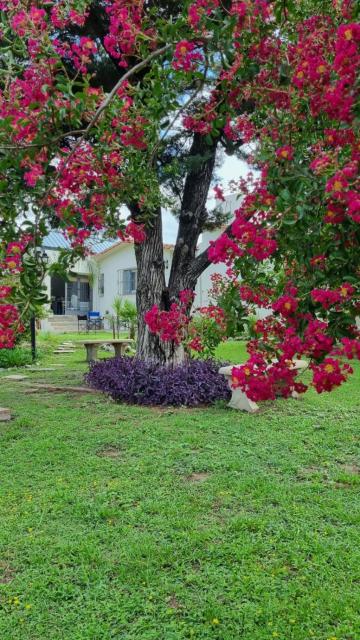 Casa de Campo - Don Bosco