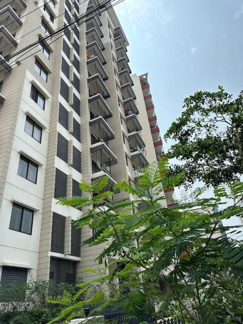 Airly, bright secured flat, Zigatola, Dhanmondi