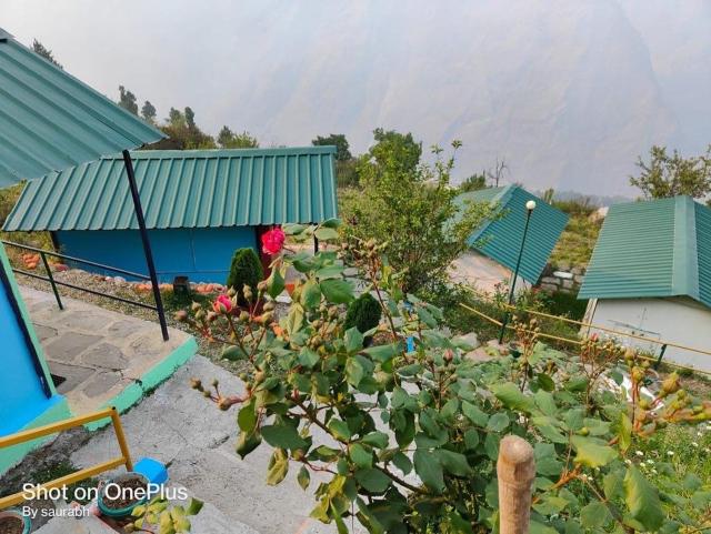 Auli Eco Nature Resort