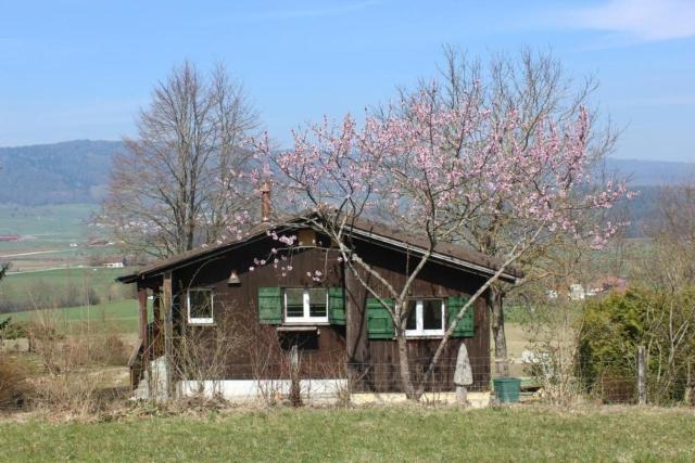 Chalet - Le Champ des Perches, Berlincourt