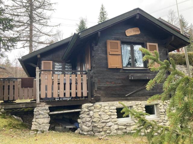 Entire cozy chalet in St-Cergue - 30 min from Geneva