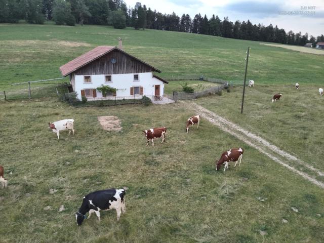 la ferme de la gaby