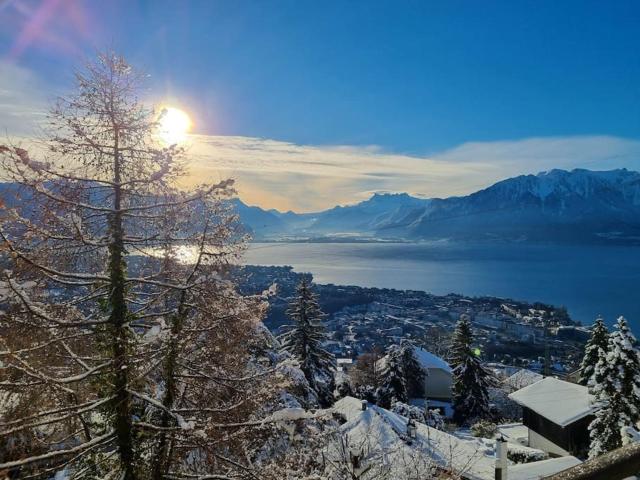 Le toit de Chardonne - Entre Alpes et lac Léman