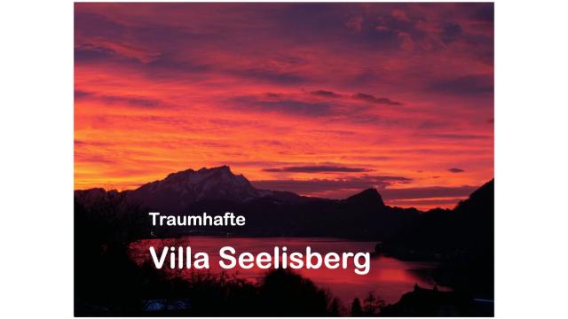 Traumhafte Villa Seelisberg