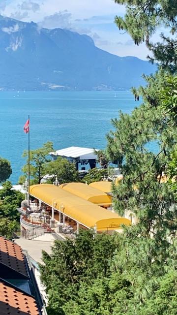 Appartement vue lac Montreux