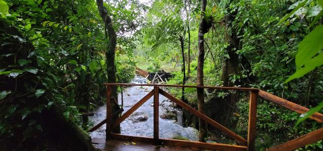 Mineral River Eco Village