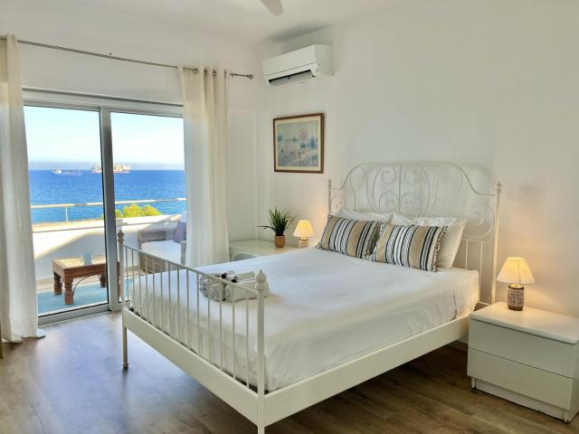 Seaview Beach Apartment Dasoudi