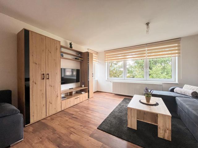 Apartmány Slavíkov - Superior Apartmán