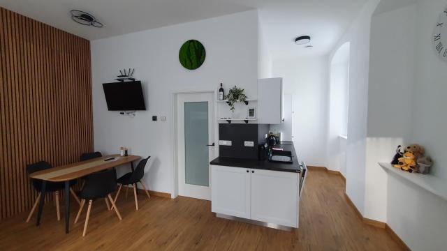 Moderní apartmán na Šumavě - Zdíkovec 21