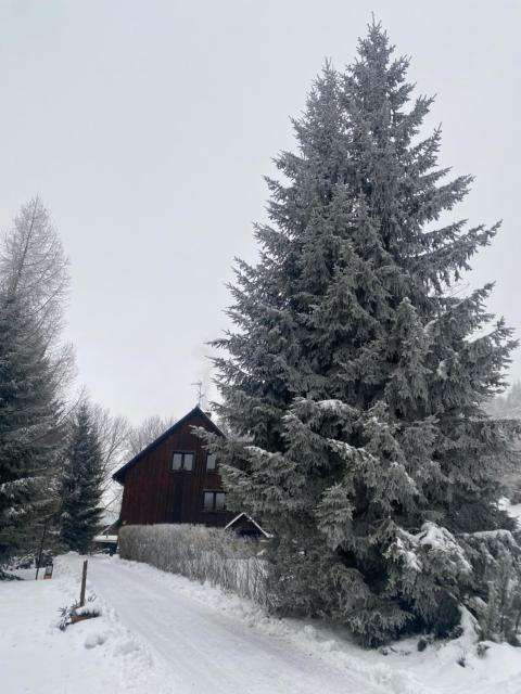 Samostatný apartmán se zahradou