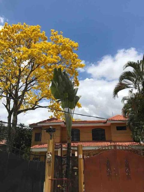 Hermoso Townhouse Ejecutivo! En Rio de Piedras, Cortés