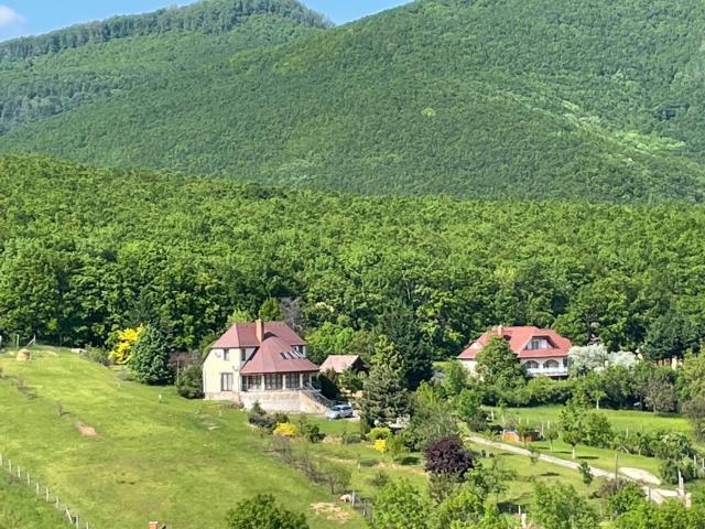 The Mountain Cottage - Hegyi kuckó