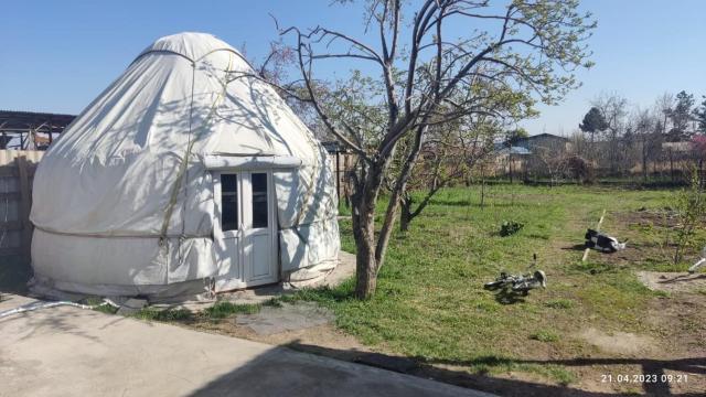 Yurt stay in downtown