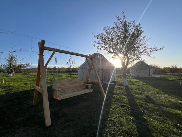 Bosogo Yurt camp