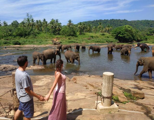 Peacock Village Pinnawala