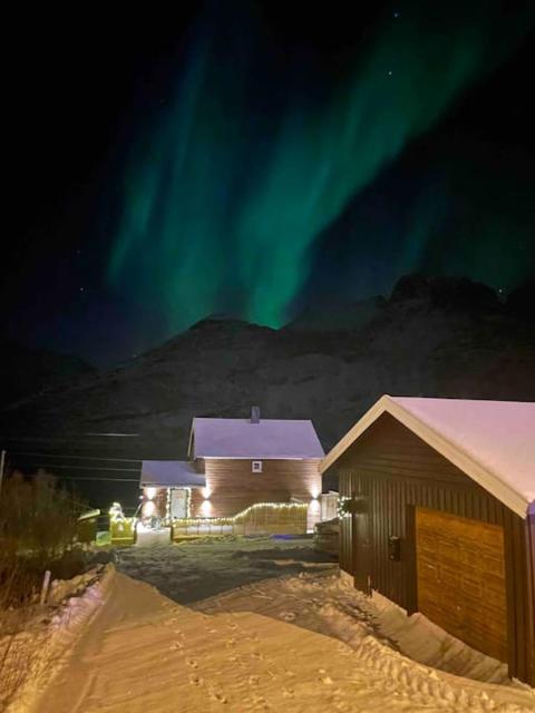 Fjordgård Mountain Aurora View