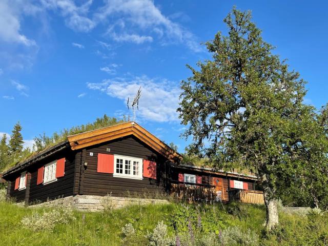 Elveseter - log cabin with an amazing view