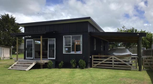 Black Beauty - Double Family Lake House for 12 with a NEW SPA & Pets