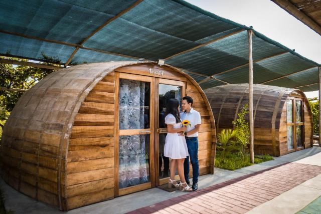 GLAMPING TONELES Y VIÑEDOS