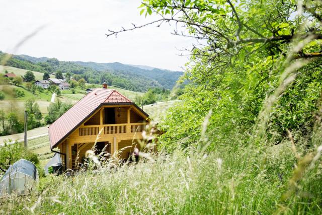 Apartma Smithy (Kovačnica)