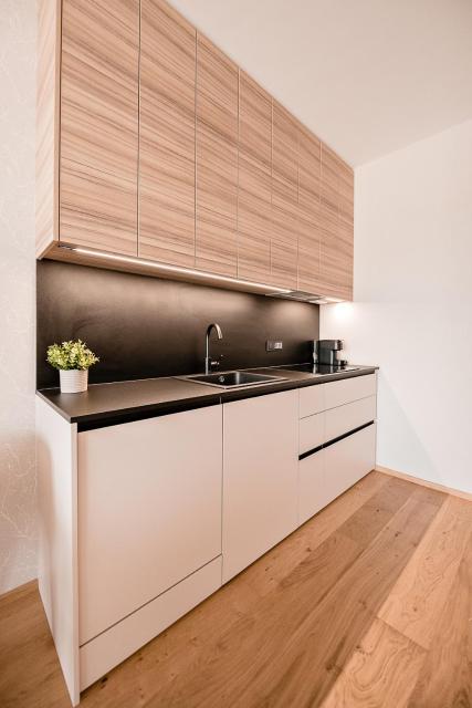 Apartma 2+2 v mestu Ljubljana (V225)