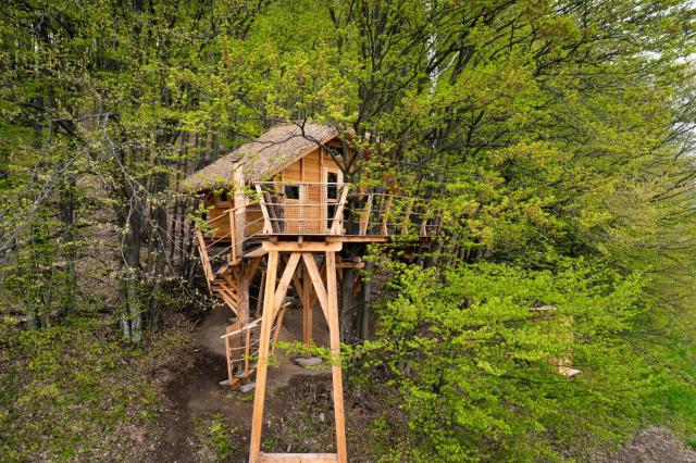 TREEHOUSE POD LESOM