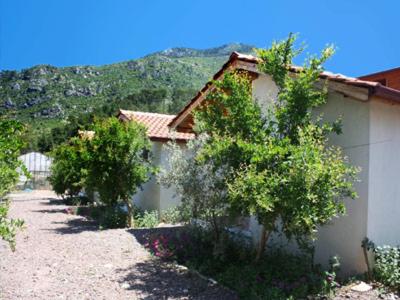 Olympos Valley Bungalow