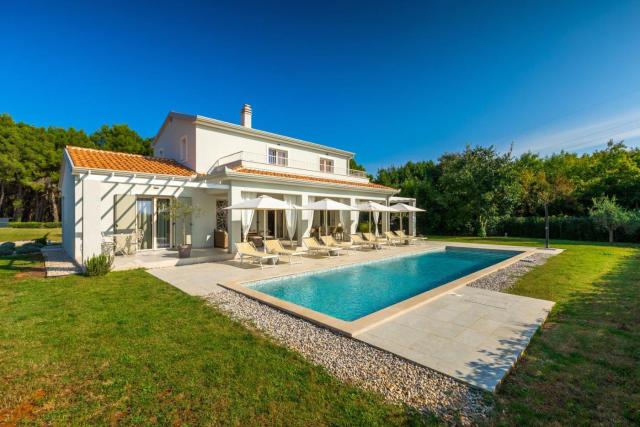 Modern villa Oliveti with pool and grill in Porec