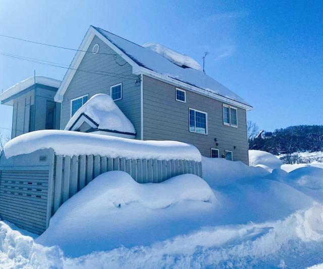 Niseko Powder fox