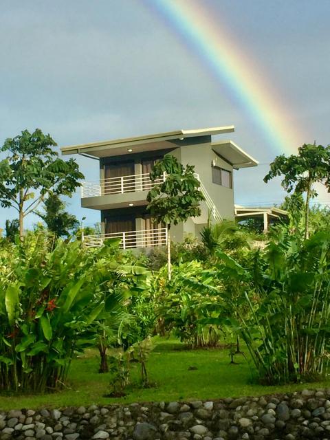 The Fruit Tree Garden Bromeliad Suite