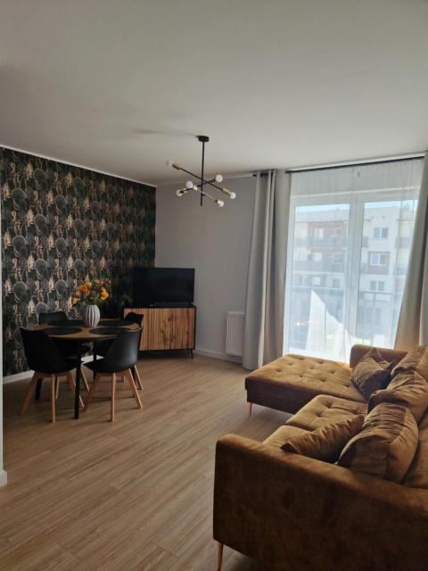 Apartament Staromiejski Rapackiego 45