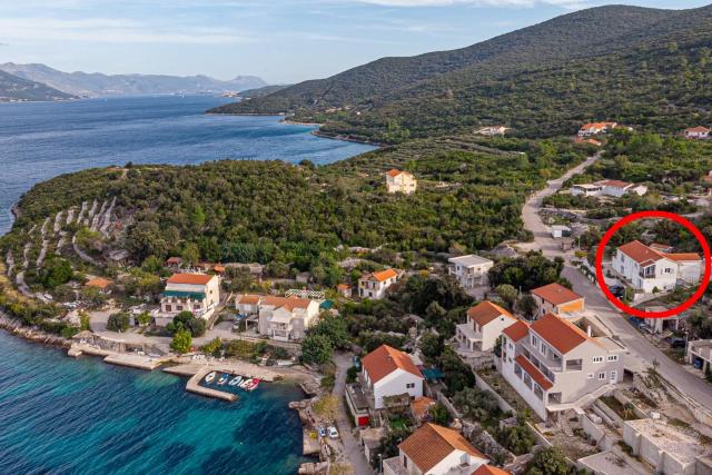 Apartments by the sea Kneza, Korcula - 21863