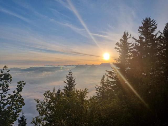 Ferienwohnung Rigi-Scheidegg Ost, Autofrei