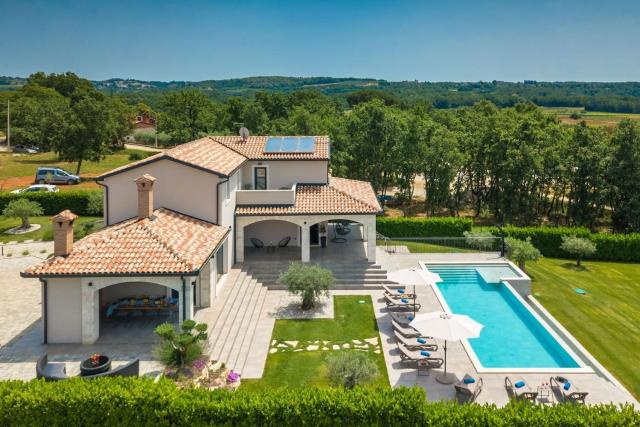 Family villa Maria with pool in Vizinada