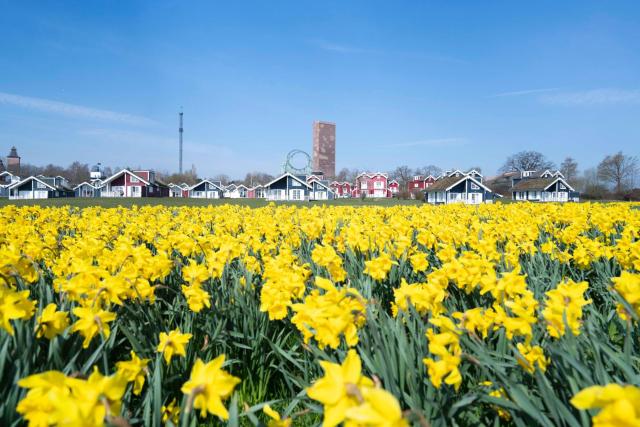 Strandpark Sierksdorf H057