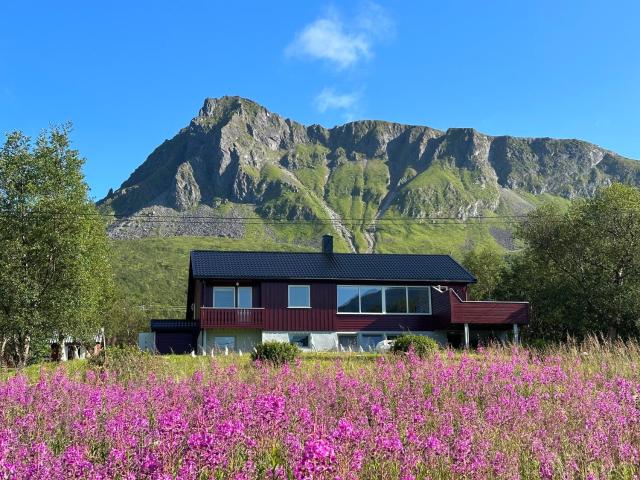 Lofoten Red Villa