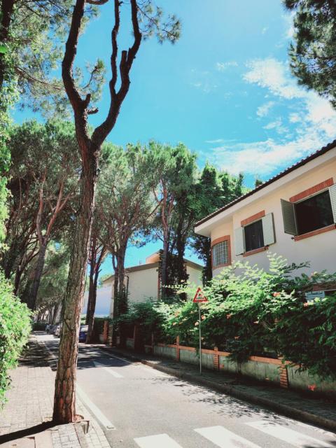 PineTrees Gem Villa Golem