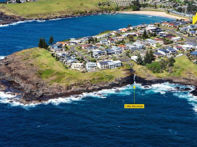 The Blue Whale Kiama