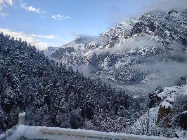 Kasol Hostel