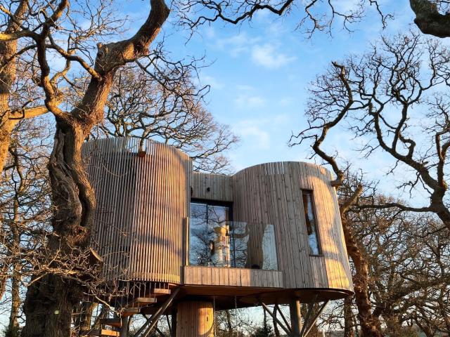 The Treehouse Caerlaverock - Uk45028