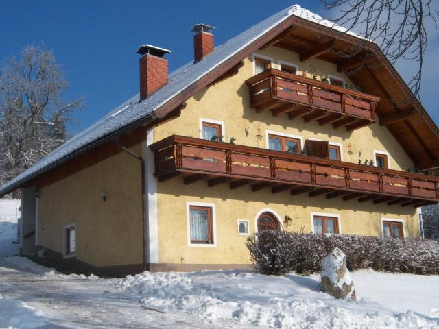 Apartment in Carinthia near the ski area