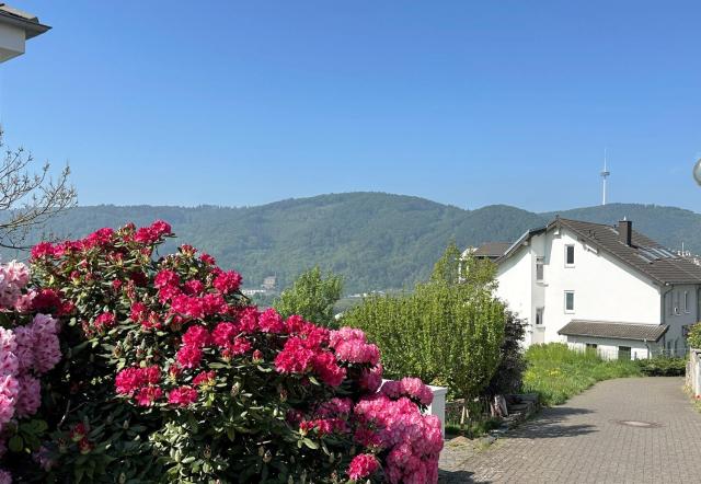 Ferienwohnung Rhein-Panorama