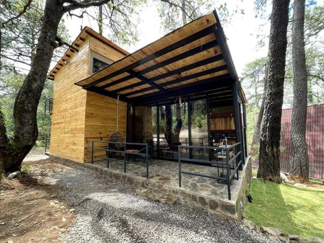 Hermosa Cabaña Inmersa en el Bosque de Tapalpa