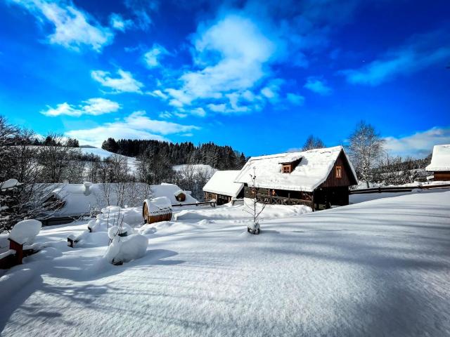 Traditional deer Cabin with Sauna