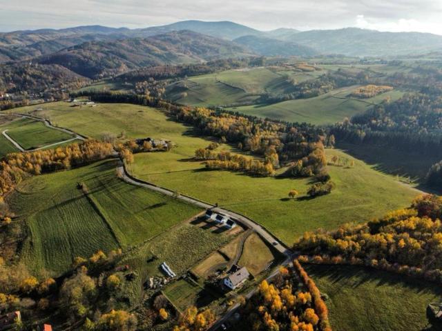 Sosnowe Wzgórze - Wypoczynek w Zagórzu Śląskim 3