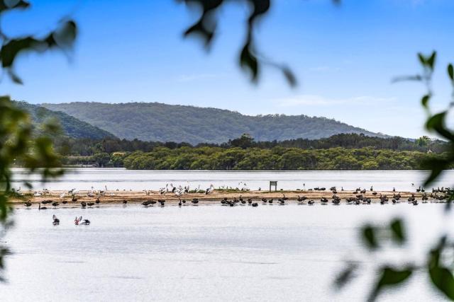 Waterfront Vista with Jetty Access Woy Woy