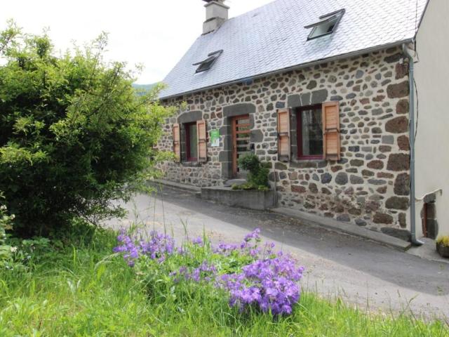 Maison de caractère avec cheminée, terrasse et jardin près du Puy Mary et Salers - FR-1-742-535