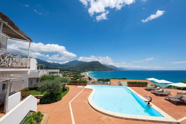 Studio für 4 Personen ca 40 qm in Villammare, Kampanien Cilento - b63223