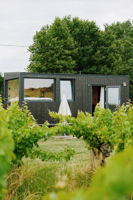 Tiny House au milieu des Vignes