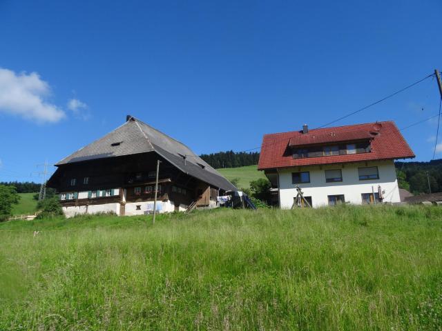 Hinterbauernhof Fewo Kuhgeflüster